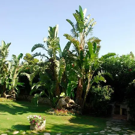 Charlie וילה וילסימיוס