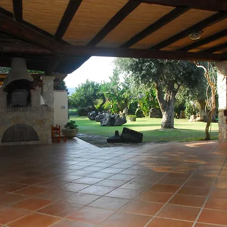 Charlie וילסימיוס