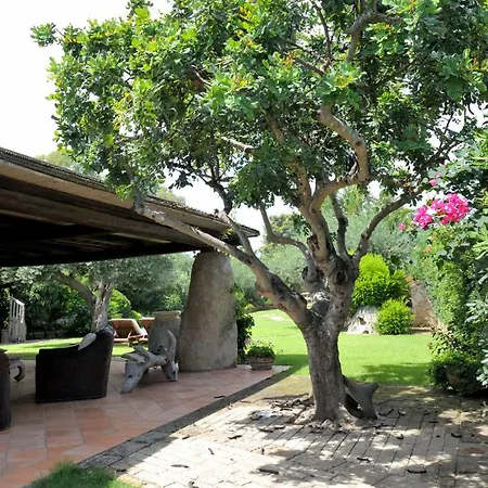 Charlie וילסימיוס