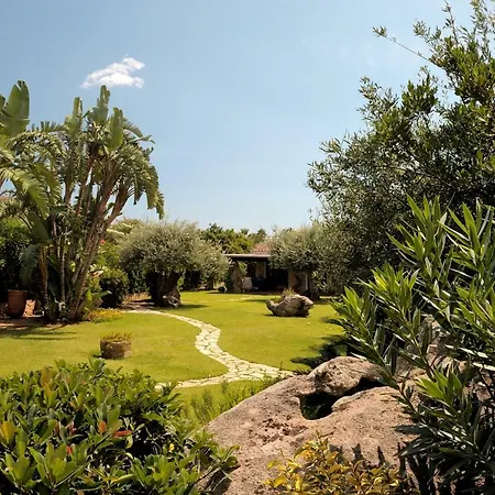 Charlie וילסימיוס