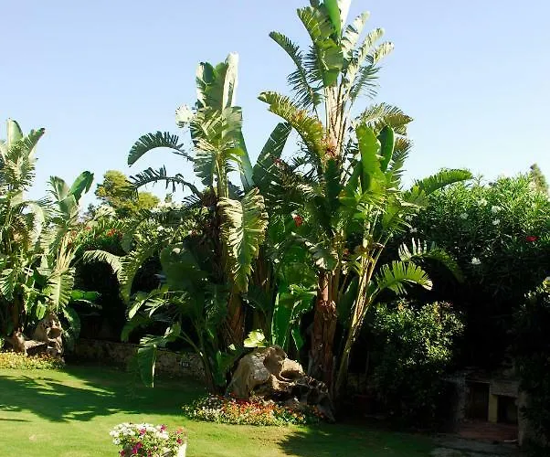 Charlie וילה וילסימיוס