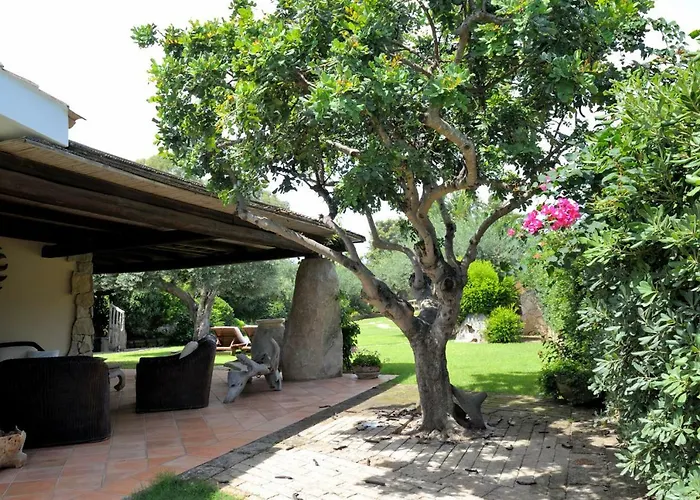 Charlie וילסימיוס